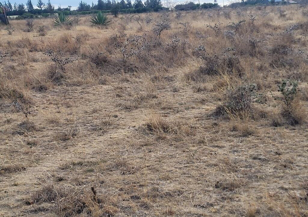 Half Acre Plot in Joska for KSh 4M
