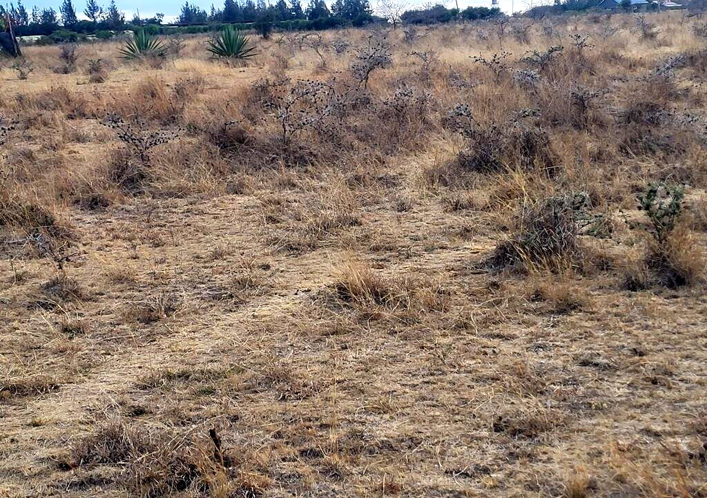 Half Acre Plot in Joska for KSh 4M