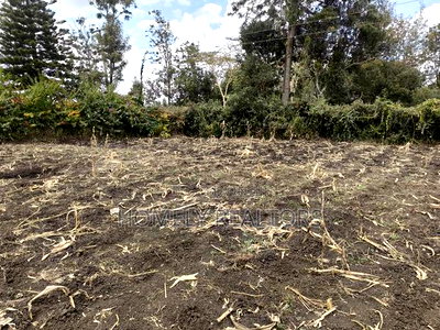 Residential Quarter Acre Corner Plot in Ngong, Ol Keri for Sale. - Image 4