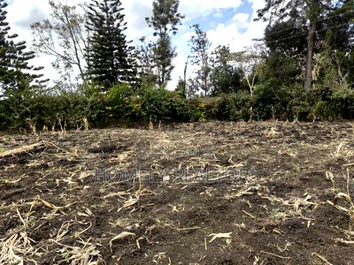 Residential Quarter Acre Corner Plot in Ngong, Ol Keri for Sale. - Image 5