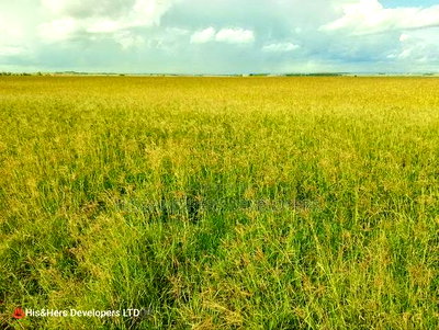 Land for Sale - 36 Acres in Narok at 580,000 Per Acre - Image 2