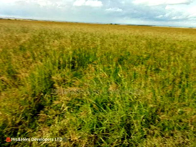 Land for Sale - 36 Acres in Narok at 580,000 Per Acre - Image 3
