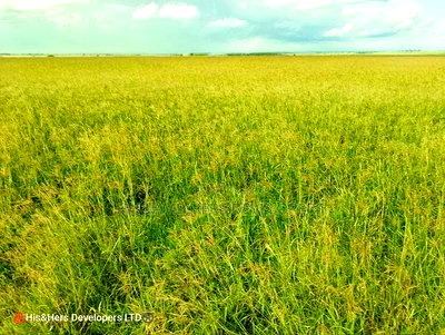 Land for Sale - 36 Acres in Narok at 580,000 Per Acre - Image 1