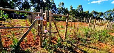 1/4 Plots For Sale St George's Eldoret - Image 2