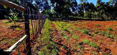 1/4 Plots For Sale St George's Eldoret - Image 3