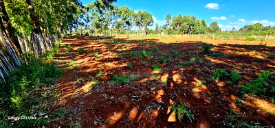 1/4 Plots For Sale St George's Eldoret - Image 1