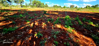 1/4 Plots For Sale St George's Eldoret - Image 4