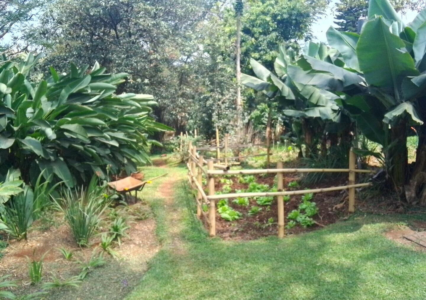0.9 Acre Lavington Plot for KSh 190M