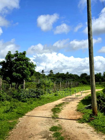 Bofa Plots Kilifi Walking Distance From Highway - Image 6