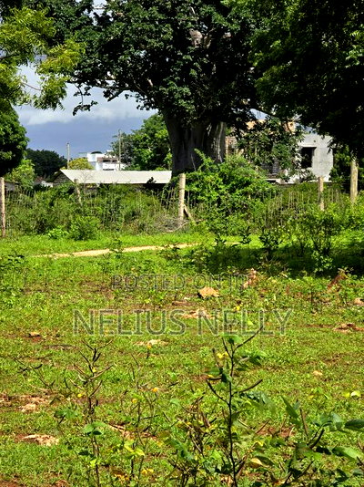 Bofa Plots Kilifi Walking Distance From Highway - Image 1