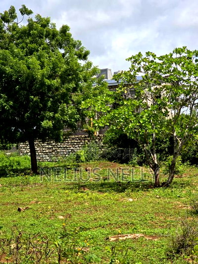 Bofa Plots Kilifi Walking Distance From Highway - Image 4