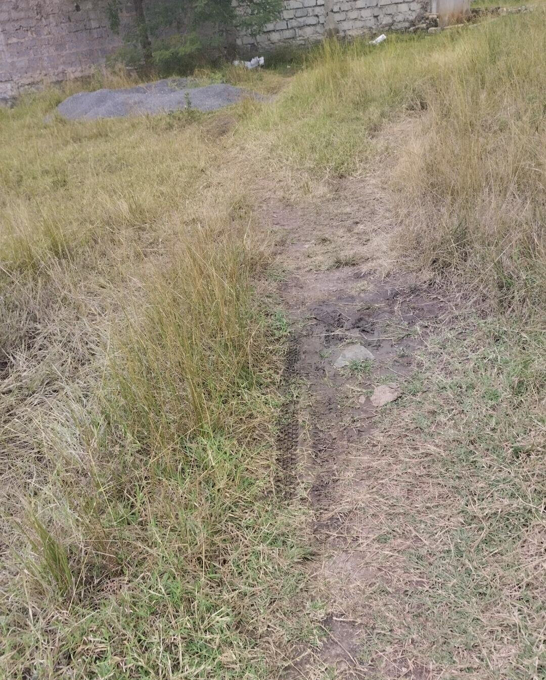 1/8 Acre Plot in Kamakis
