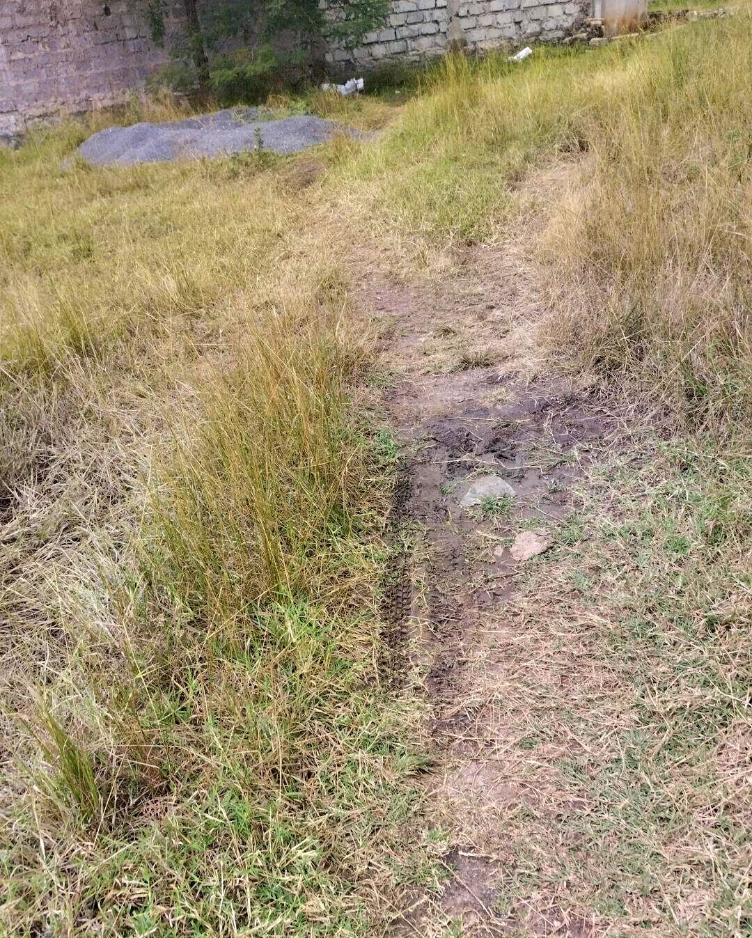 1/8 Acre Plot in Kamakis