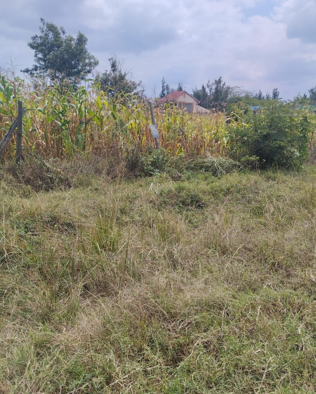 1/8 Acre Plot in Kamakis