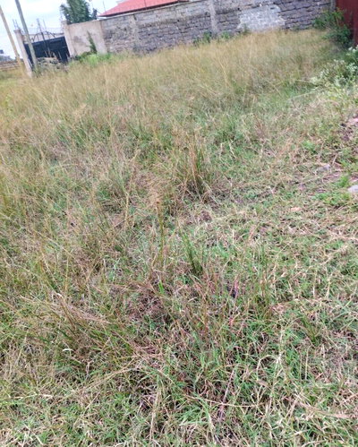 1/8 Acre Plot in Kamakis