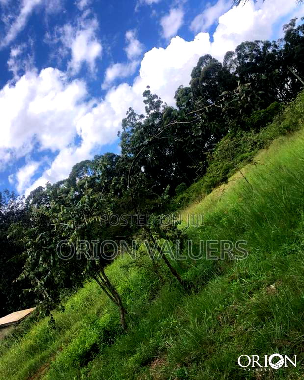 Oak Grove City - Juja's Premier Gated Community