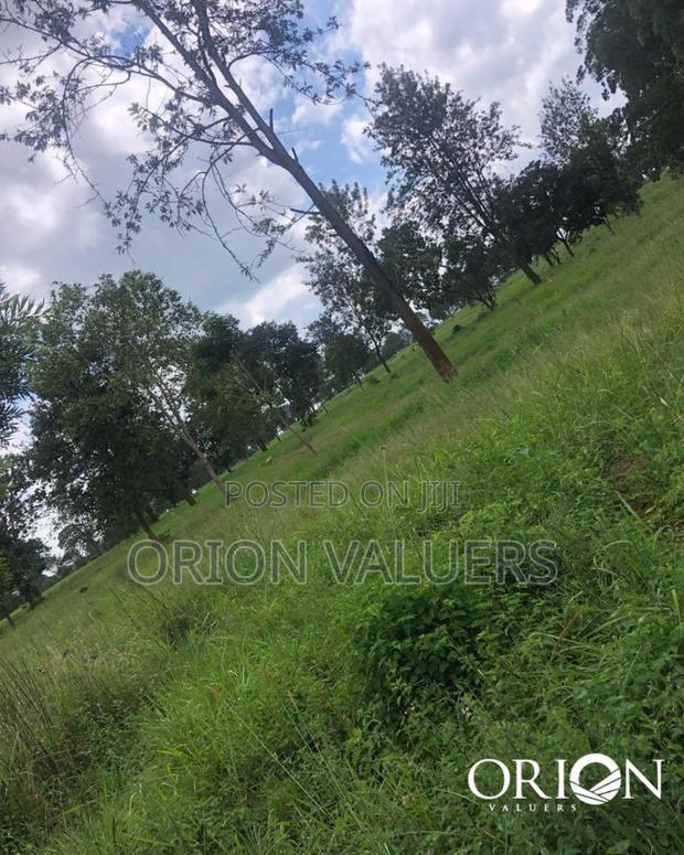 Oak Grove City - Juja's Premier Gated Community