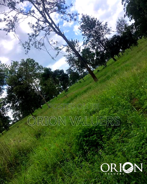Oak Grove City - Juja's Premier Gated Community