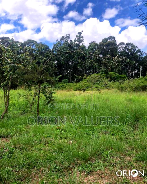 Oak Grove City - Juja's Premier Gated Community