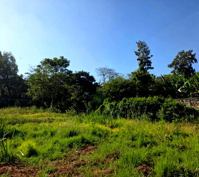Pet Friendly Half Acre in Muthaiga