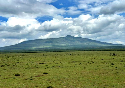 50-Acre Garden Estate for KSh 60M