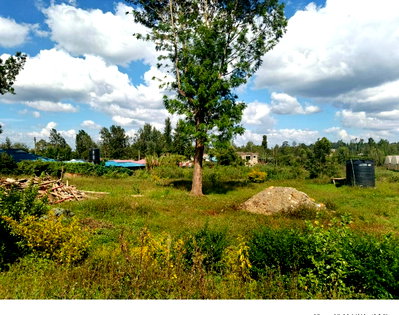 2-Acre Commercial Plot with Garden