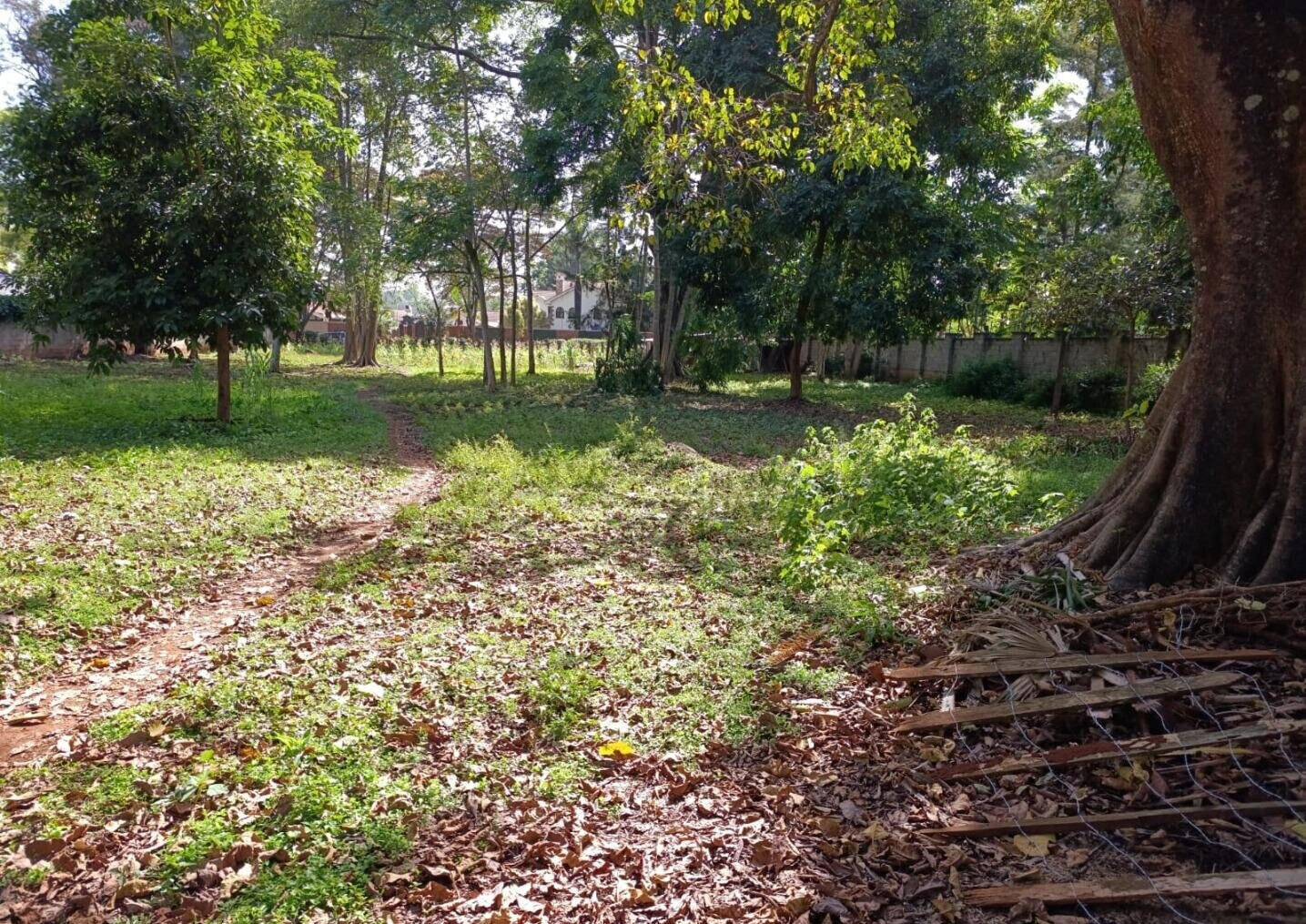 1-Acre Thigiri Plot at KSh 200M