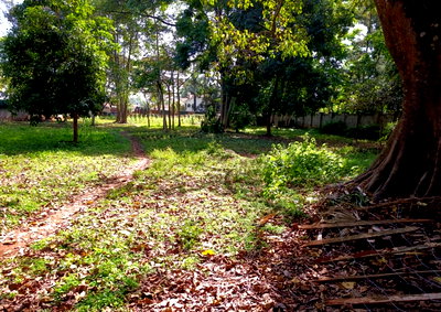 1-Acre Thigiri Plot at KSh 200M