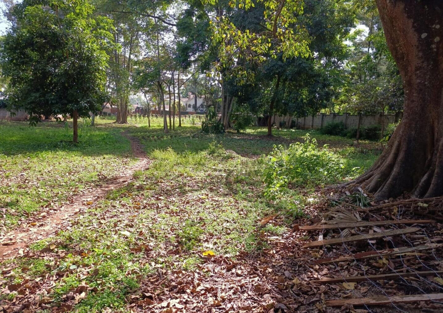 1-Acre Thigiri Plot at KSh 200M