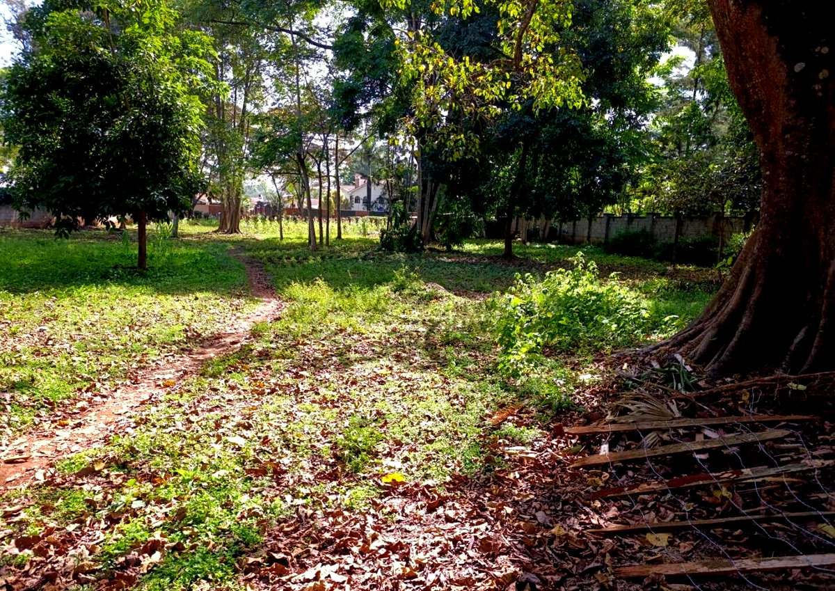 1-Acre Thigiri Plot at KSh 200M