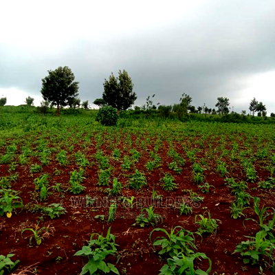Plot for Sale at Kirigiti Ruabai - Image 4