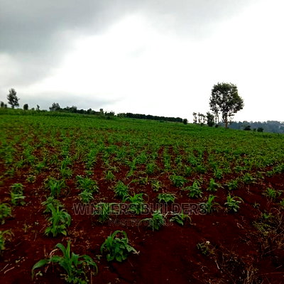Plot for Sale at Kirigiti Ruabai - Image 2