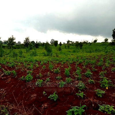 Plot for Sale at Kirigiti Ruabai - Image 3