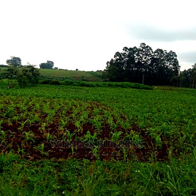 Plot for Sale at Kirigiti Ruabai - Image 1