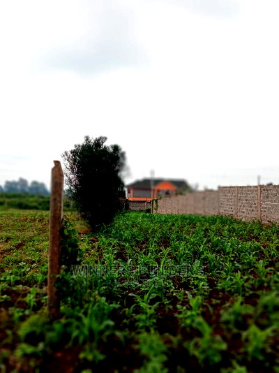 Plot for Sale at Kirigiti Ruabai - Image 6