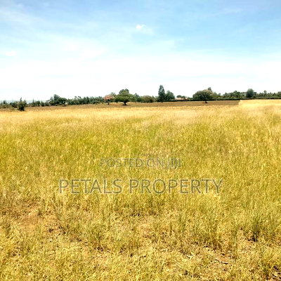 23 Acre Parcel of Land for Sale in Kabarak - Image 3