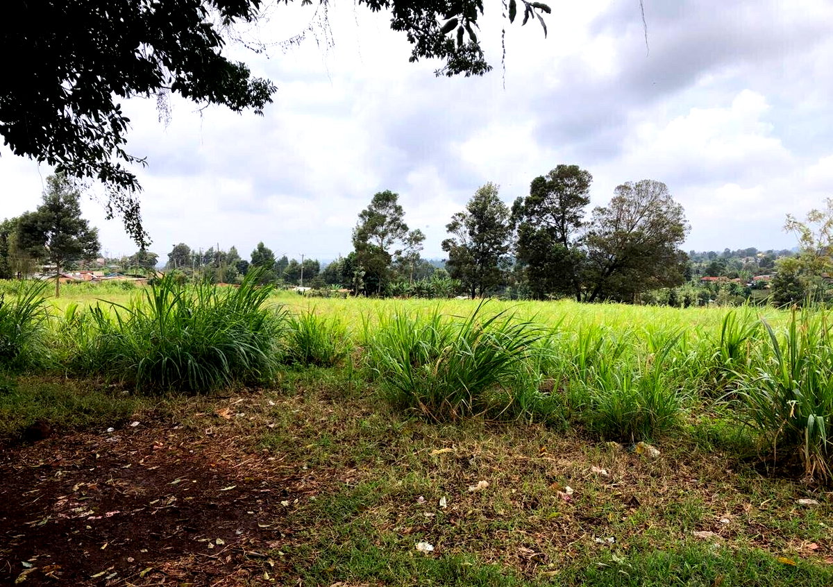 8-Acre Plot for KSh 180M