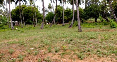 1-Acre Plot with Garden and Parking at KSh 12M