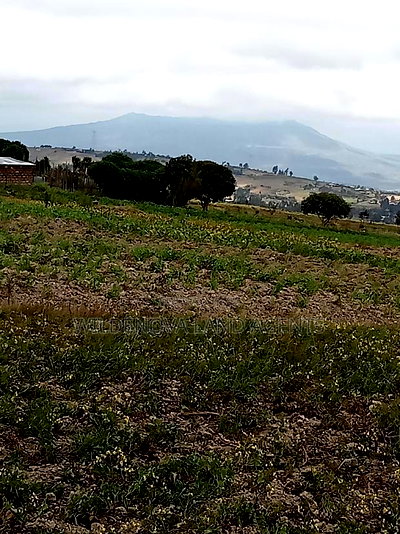 2 Acre of Land on Sale at Kenyatta Road Kinangop - Image 1