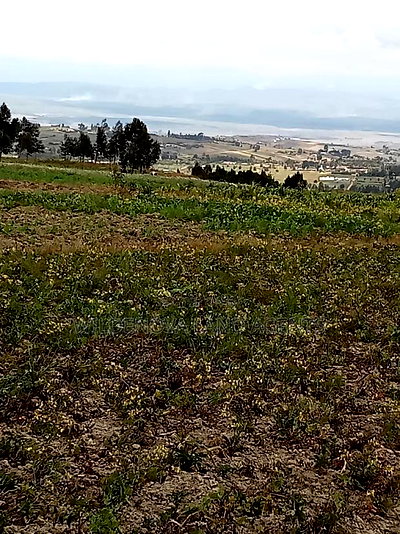 2 Acre of Land on Sale at Kenyatta Road Kinangop - Image 4