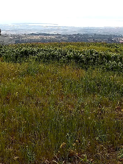 2 Acre of Land on Sale at Kenyatta Road Kinangop - Image 3