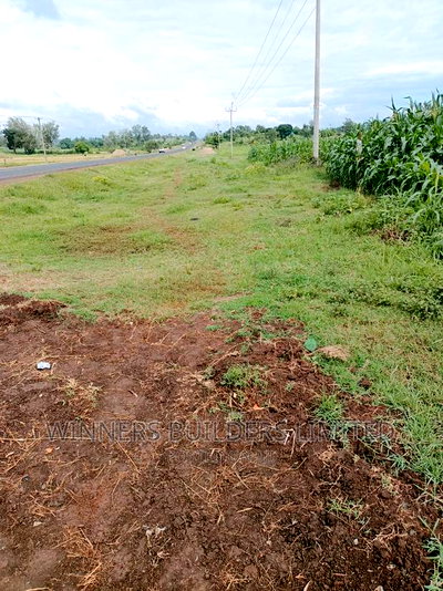 1 Acre for Sale at Kimbimbi - Image 6