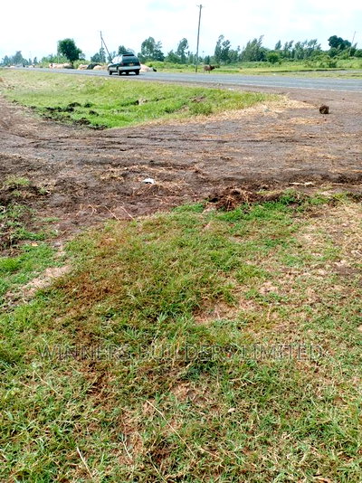 1 Acre for Sale at Kimbimbi - Image 4