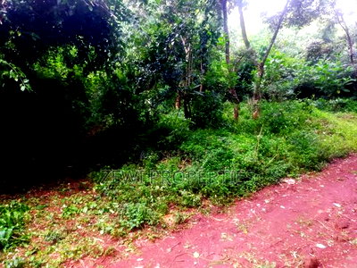 1 Acre Karen,Mutero - Image 2