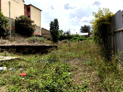 Large Commercial Eighth Acre (60*100) Plot in Ongata Rongai - Image 4