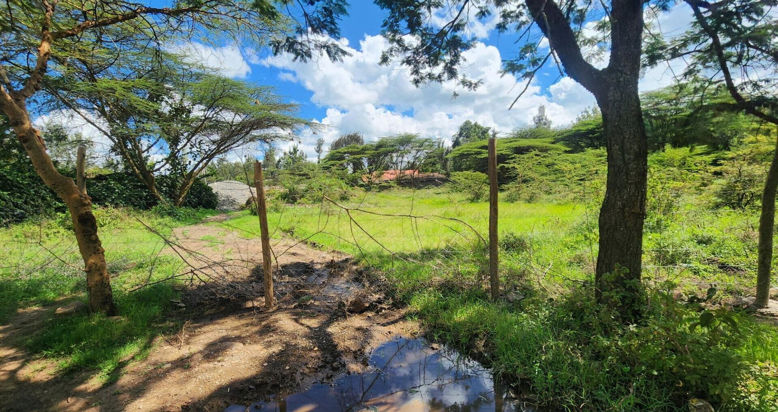 Half Acre Plot for KSh 17M