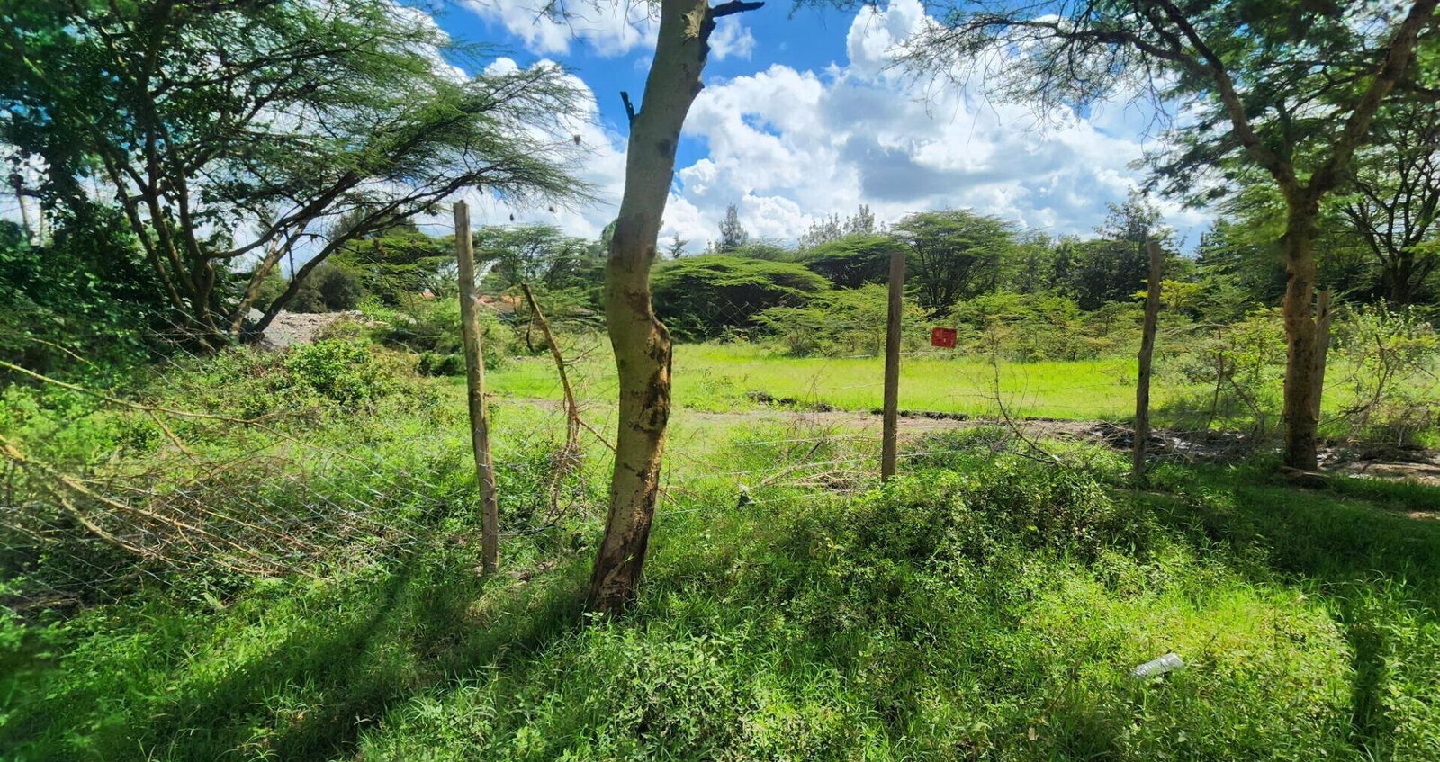 Half Acre Plot for KSh 17M