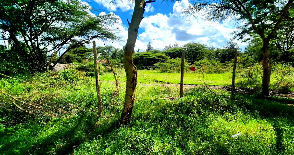 Half Acre Plot for KSh 17M