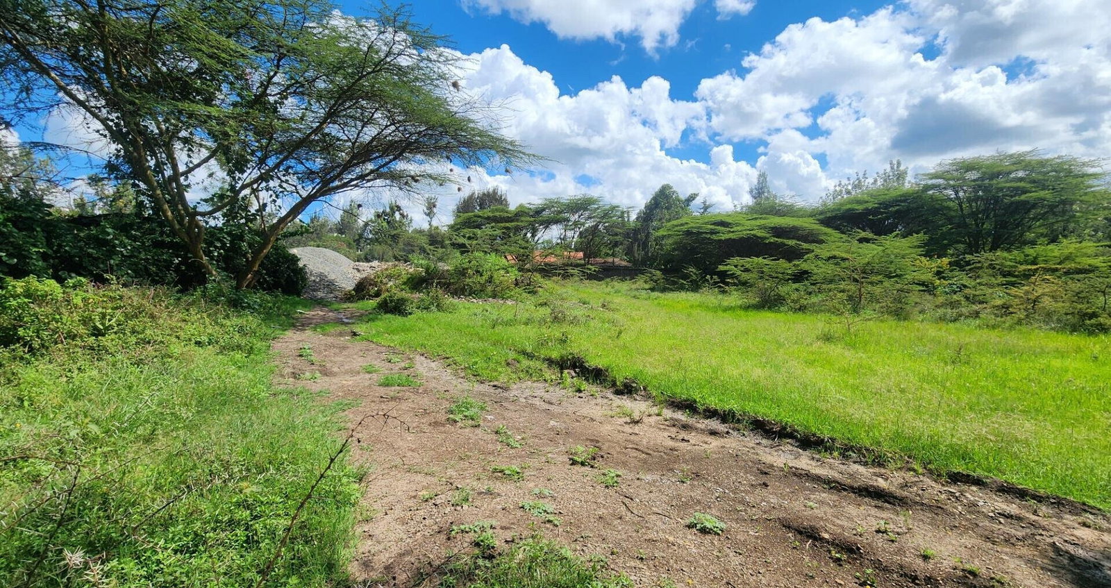 Half Acre Plot for KSh 17M