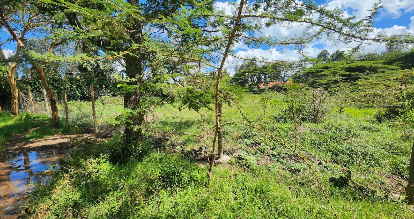 Half Acre Plot for KSh 17M